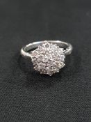 18 CARAT WHITE GOLD & DIAMOND CLUSTER RING WITH HINGED SHANK