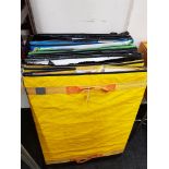 COLLECTION OF LARGE STORAGE BAGS