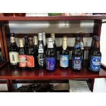 COLLECTION OF BEER BOTTLES (COMPLETE)