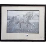 PENCIL DRAWING HORSE