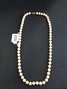 SILVER CLASP STRING PEARLS