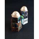 COLLECTABLE SALT AND PEPPER SILVER AND ABALONE