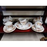 21 PIECE COLCLOUGH AMANDA TEASET