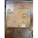 COLLECTION OF MOUNTED MILITARY CAP BADGES