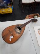 MANDOLIN