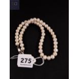 PEARL NECKLACE WITH SILVER CLASP