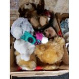 BOX OF SOFT TOYS