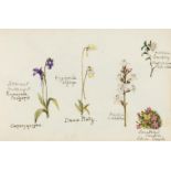 Natural History.- Album of Floral watercolour drawings. (ca. 1880).