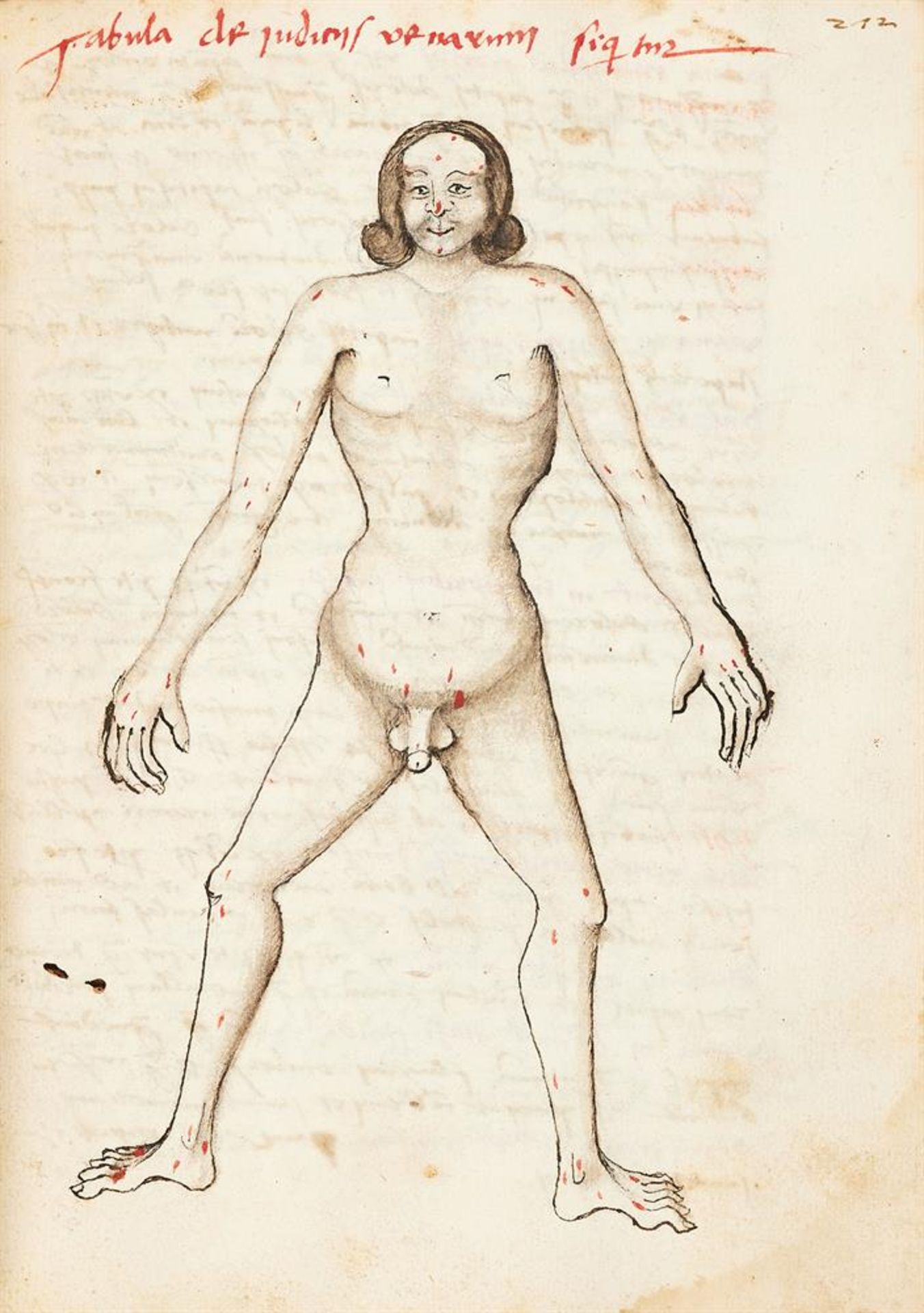 Ɵ Medical compendium with substantial parts of Egidius de Corbeil - Image 6 of 9
