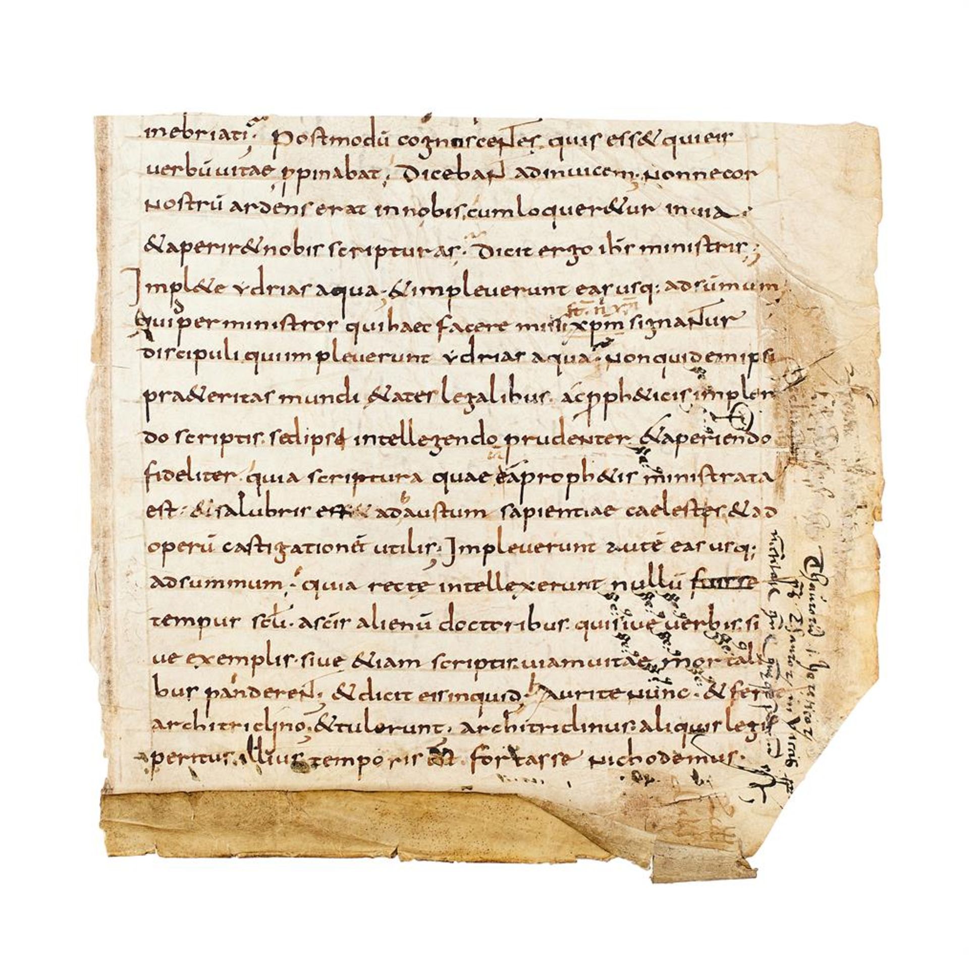 Ɵ Three cuttings from an exceptionally early manuscript of Paul the Deacon's Homiliary - Bild 2 aus 2