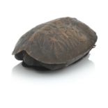A JAPANESE CARVED WOOD BOX IN THE FORM OF A TERRAPIN Meiji era (1868-1912), signed Ryuhan Shoshin...