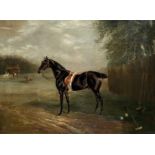 Henry T. Partridge (British, 19th Century) Portrait of a polo pony