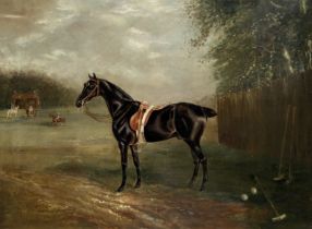 Henry T. Partridge (British, 19th Century) Portrait of a polo pony