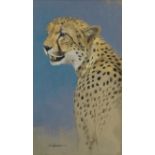 Kim Donaldson (South African, born 1952) Head study of a cheetah