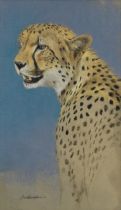 Kim Donaldson (South African, born 1952) Head study of a cheetah