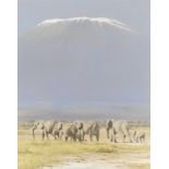 Kim Donaldson (South African, born 1952) Amboseli dawn, herd of elephants