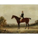 English School, 19th century Portrait of a gentleman on his horse