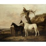 Circle of George Cole (British, 1810-1885) Portrait of chestnut and piebald horses