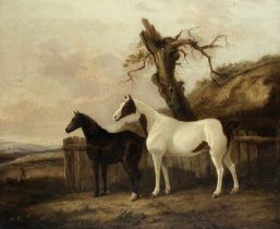 Circle of George Cole (British, 1810-1885) Portrait of chestnut and piebald horses