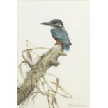 Edwin Penny (British, 1930-2016) Kingfisher; Waxwing, a pair both 40.3 x 27.3cm (15 7/8 x 10 3/4i...