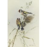 Edwin Penny (British, 1930-2016) Goldcrests; Goldfinches, a pair both 38.4 x 27.3cm (15 1/8 x 10 ...