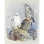 THORBURN (ARCHIBALD) British Birds, 4 vol. (without Supplement), NUMBER 2 OF 105 LARGE PAPER COPI...