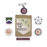 SUFFRAGE BADGES Collection of seven pro and anti suffrage badges