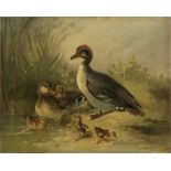 A. Huber, 19 Century A family of ducks and a family of partridges, a pair both 48.9 x 61cm (19 1/...