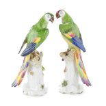 A pair of impressive early 20th century Volkstedt porcelain Macaw parrots in the Meissen style (2)