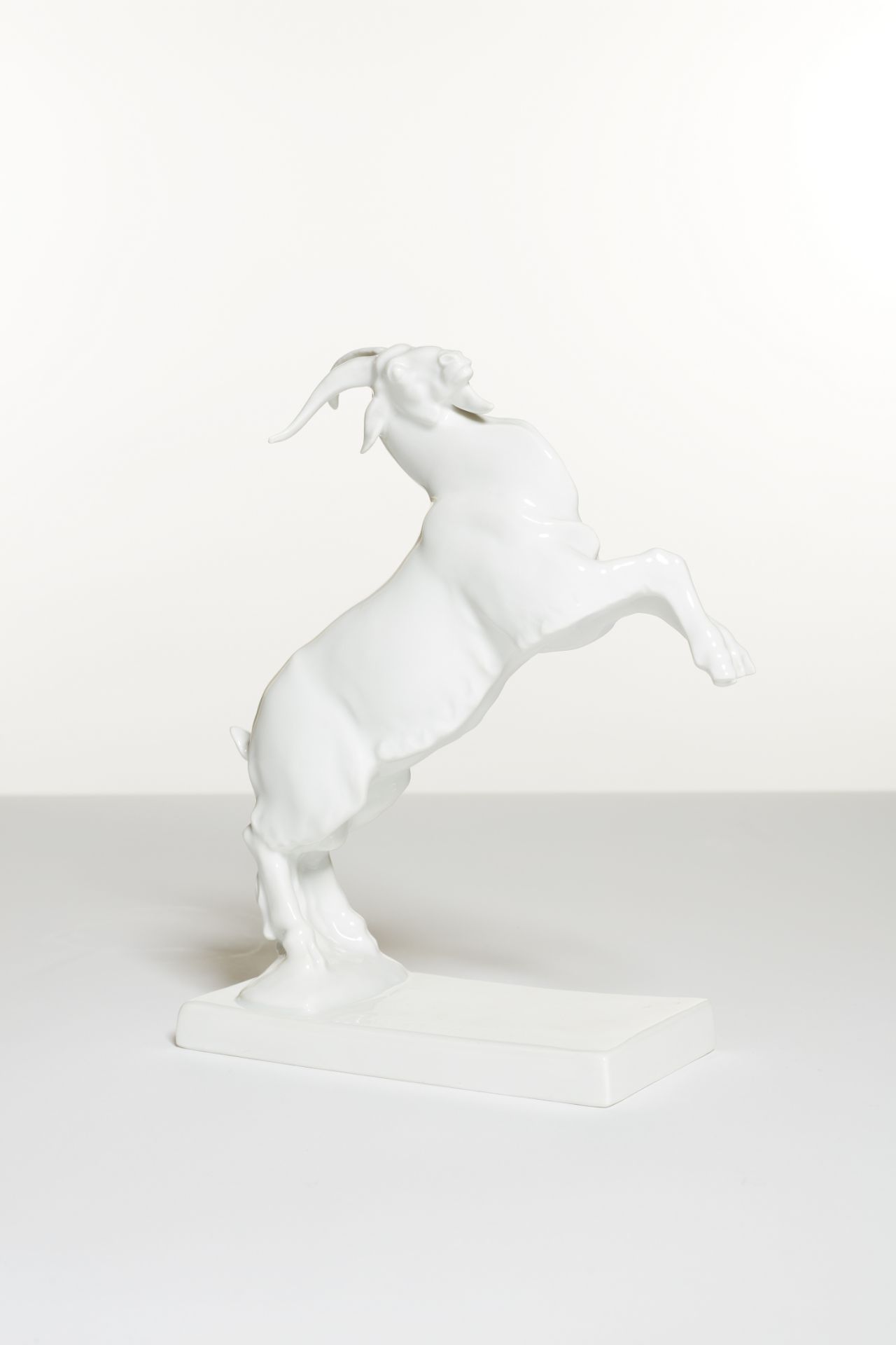 Bouquetin cabr&#233; en porcelaine blanche, Rosenthal, apr&#232;s 1949 A Rosenthal white model of...