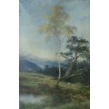 John MacWhirter, RA HRSA RI RE (British, 1839-1911) The silver birch 122 x 81.7 cm. (48 1/16 x 32...