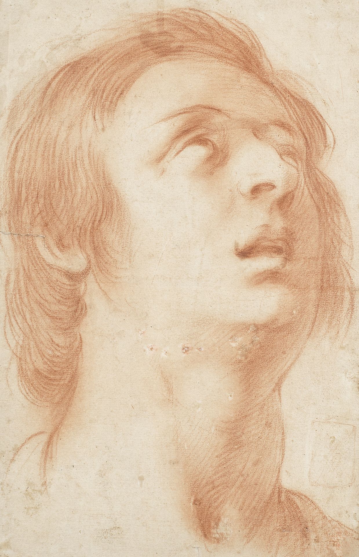 Florentine School, 17th Century Head study of a man