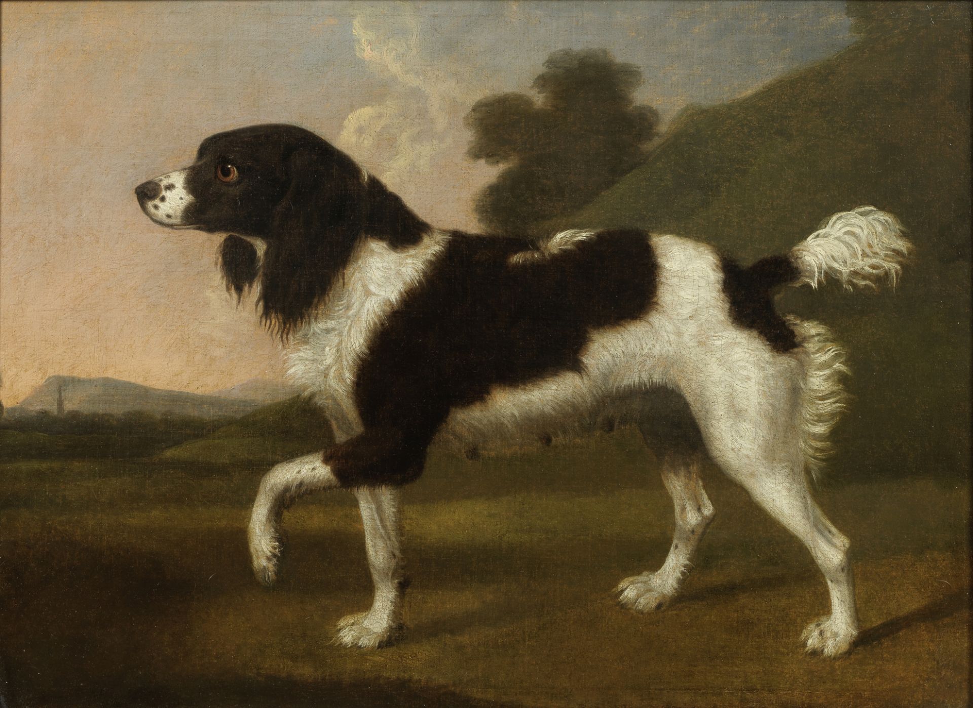 George Stubbs ARA (Liverpool 1724-1806 London) A black and white spaniel pointing to the left, in...