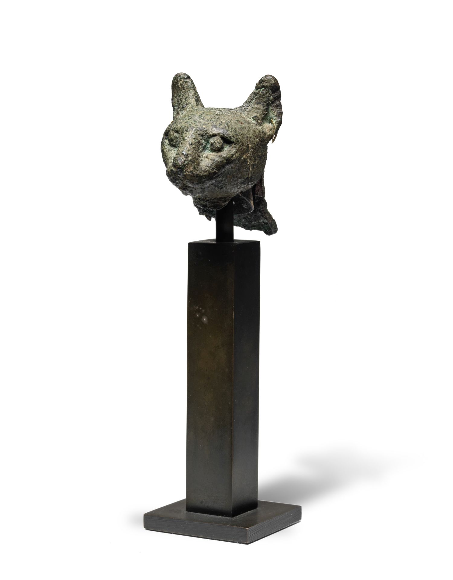 An Egyptian bronze cat head