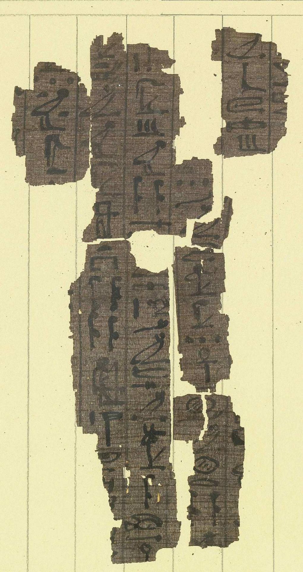 Fifteen frames containing fragments of ink inscribed papyri with remains of polychrome vignettes ... - Image 17 of 40