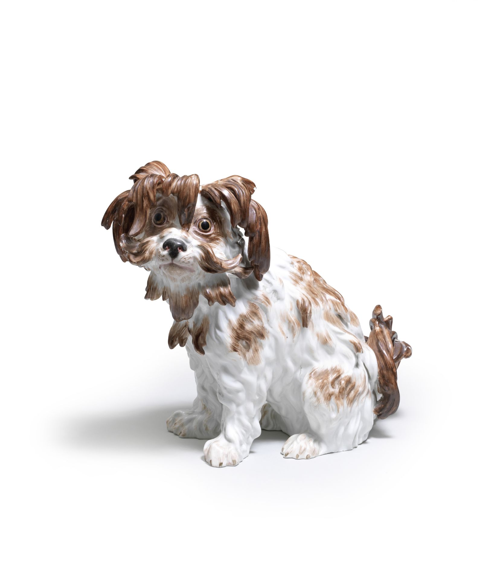 A Meissen model of a Bolognese terrier, late 19th century