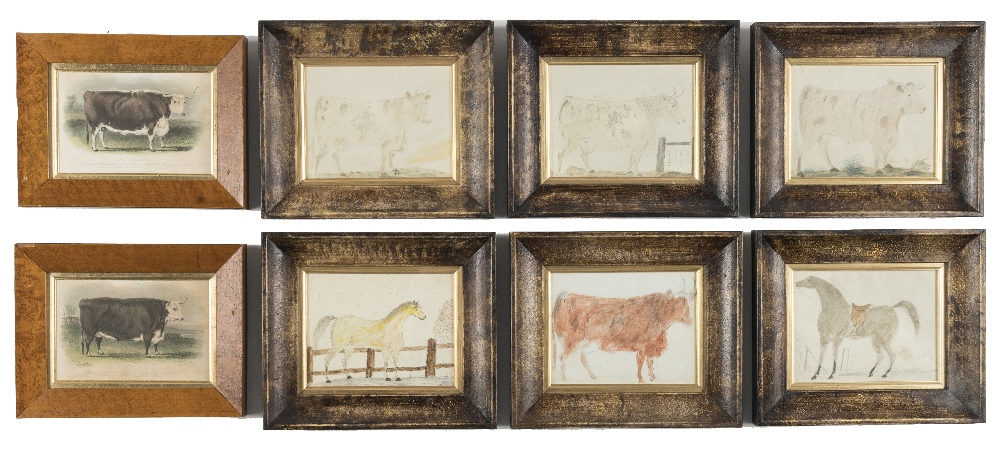 A SET OF SIX FRAMED VICTORIAN NAIVE DRAWINGS OF ANIMALS (8) - Image 2 of 3