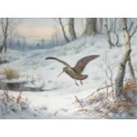 JOHN CYRIL HARRISON (BRITISH, 1898-1985) A woodcock in winter