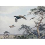 JOHN CYRIL HARRISON (BRITISH, 1898-1985) A black grouse cock and hens in flight