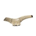 STEPPE BISON FOSSILIZED SKULL AND PARTIAL HORNS