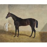 English School, 19th century Stallion standing in a stable