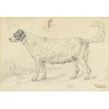 Sir Edwin Henry Landseer, RA (London 1802-1873) Study of a dog