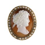 Two shell cameo brooches, 19th century (2)