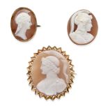 Two shell cameo brooches and one unmounted shell cameo, 19th century (3)