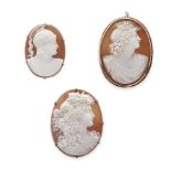 Three shell cameo brooches, 19th century (3)