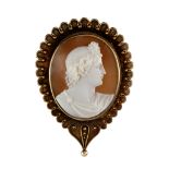 Two shell cameos, 19th century (2)