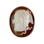 A shell cameo brooch, mid-19th century