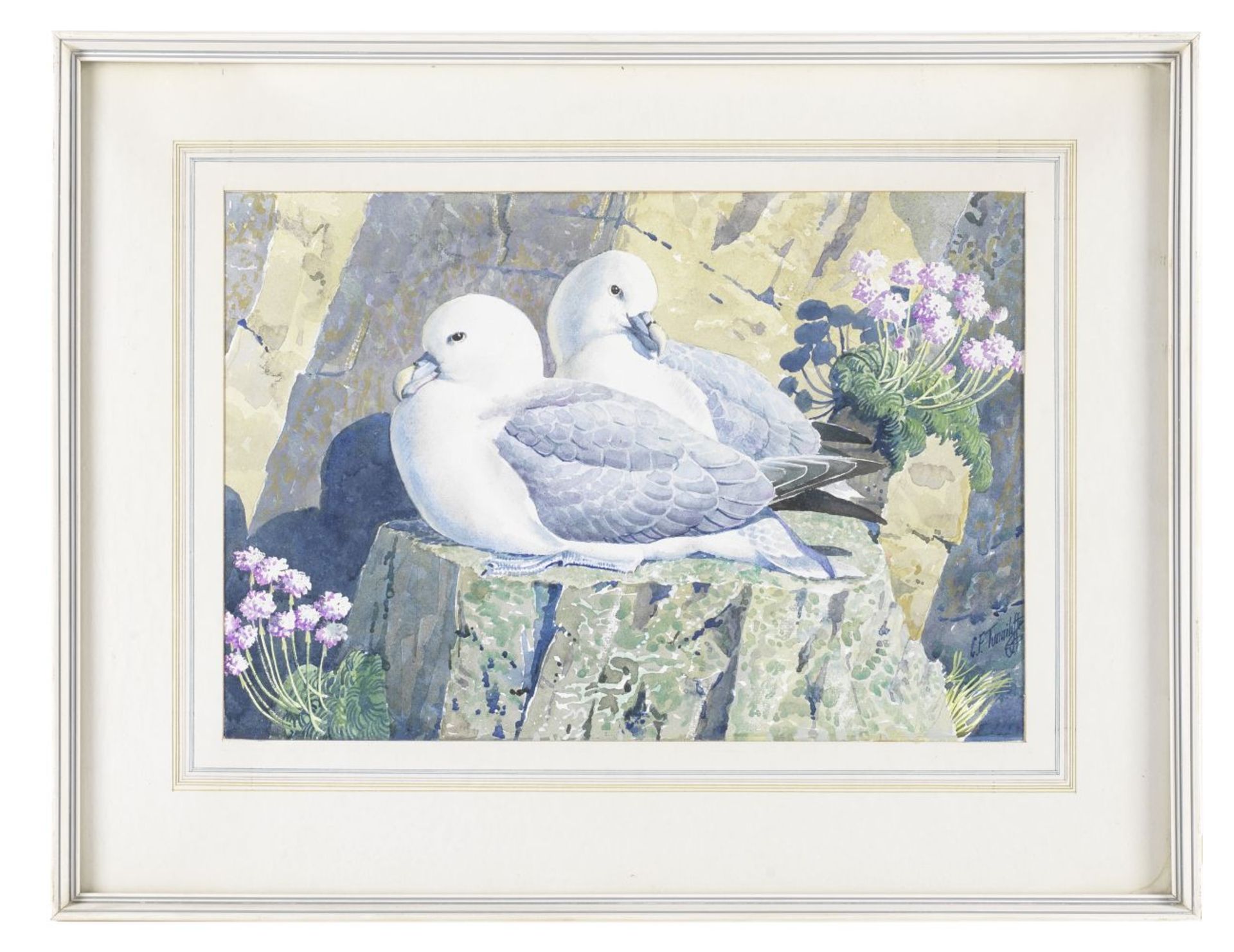 Charles Frederick Tunnicliffe O.B.E., R.A. (British, 1901-1979) Fulmars Sitting on a Rocky Ledge - Image 2 of 2