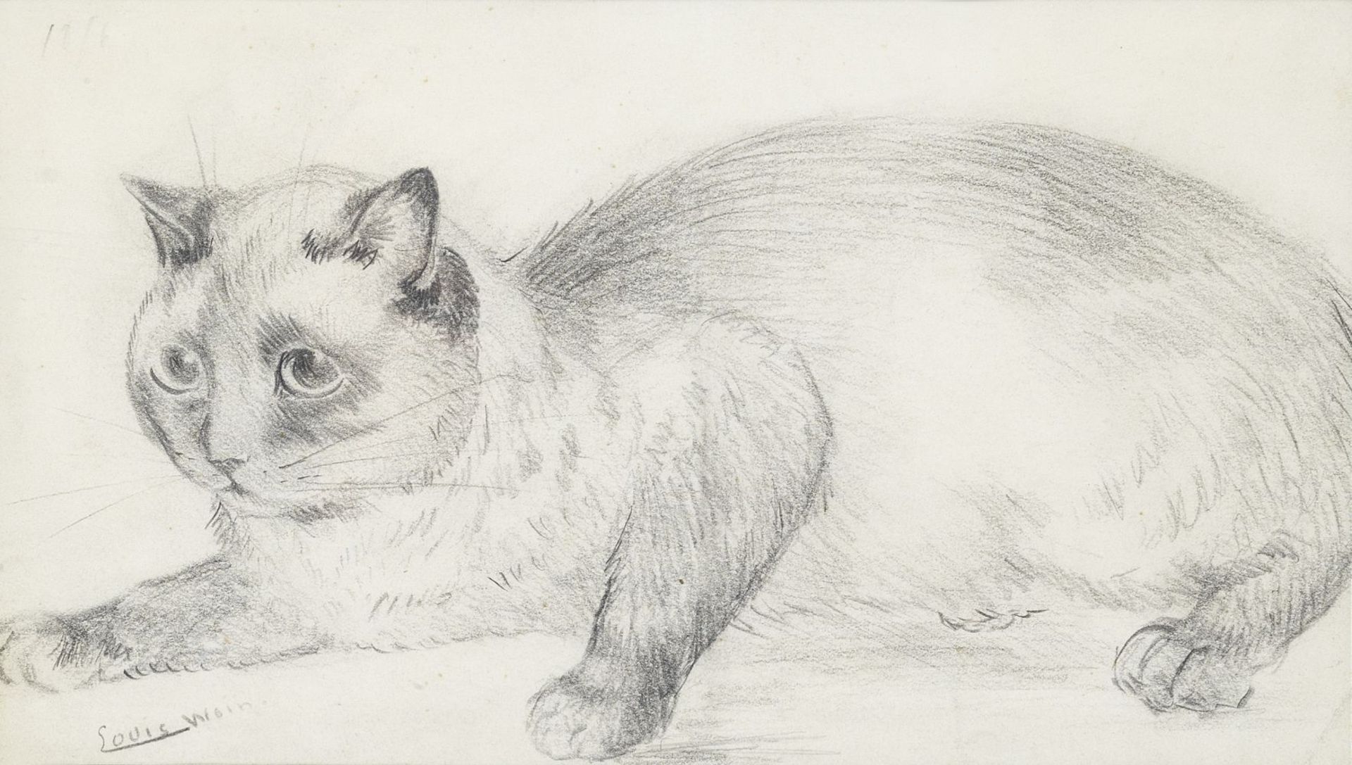 Louis William Wain (British, 1860-1939) Siamese Cat