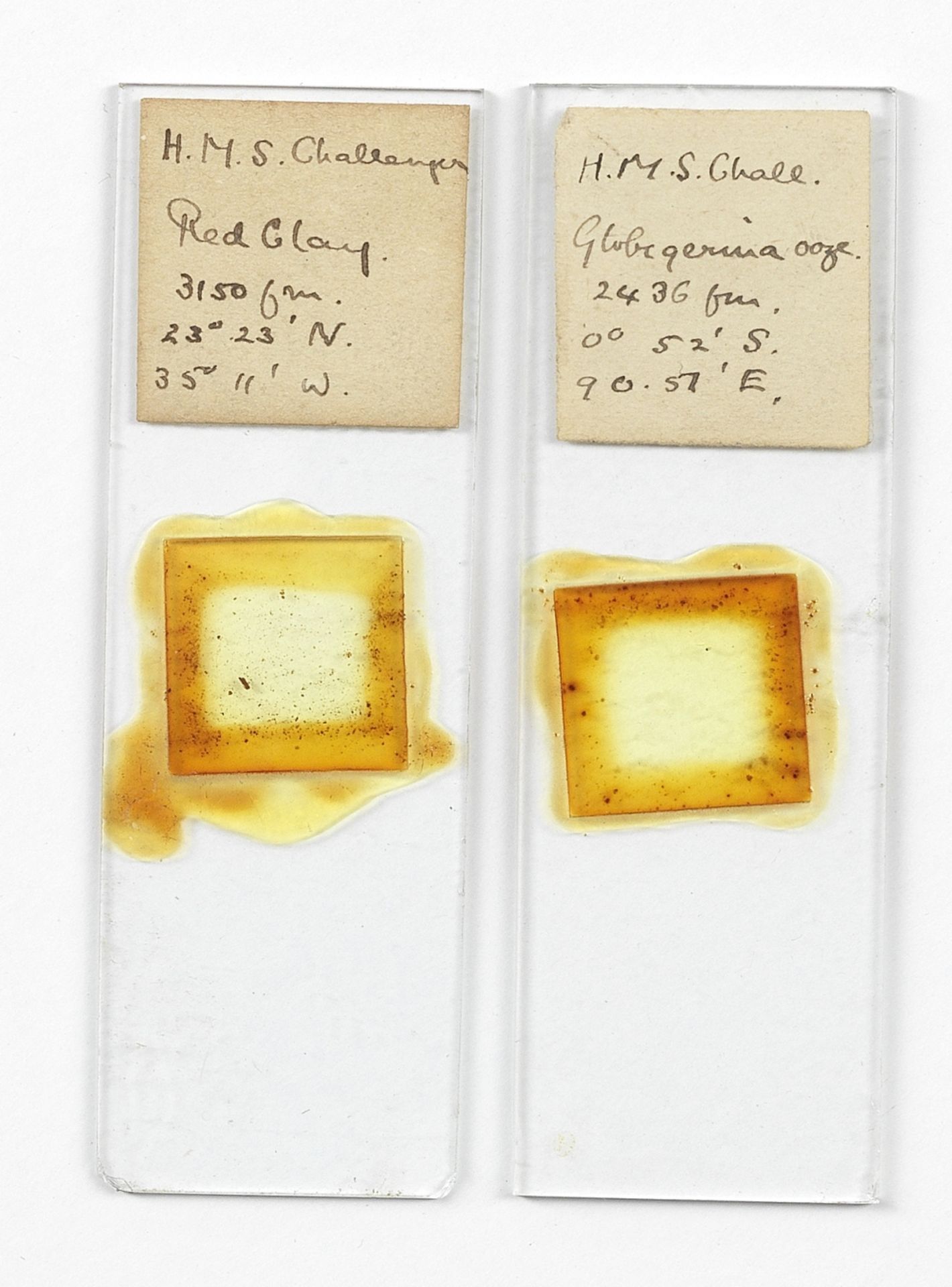 CHALLENGER EXPEDITION, 1875 Two microscope specimen slides labelled 'H.M.S. Challenge Red Clay 31...